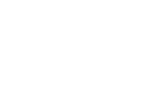 Google CSS Partner transparent